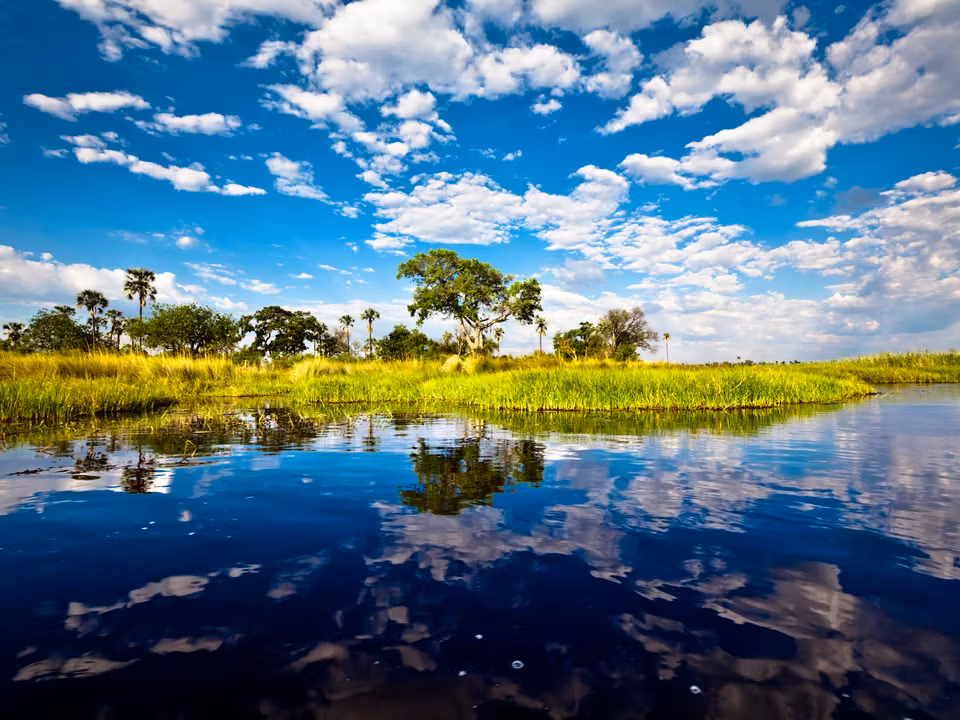Flights to Francistown
