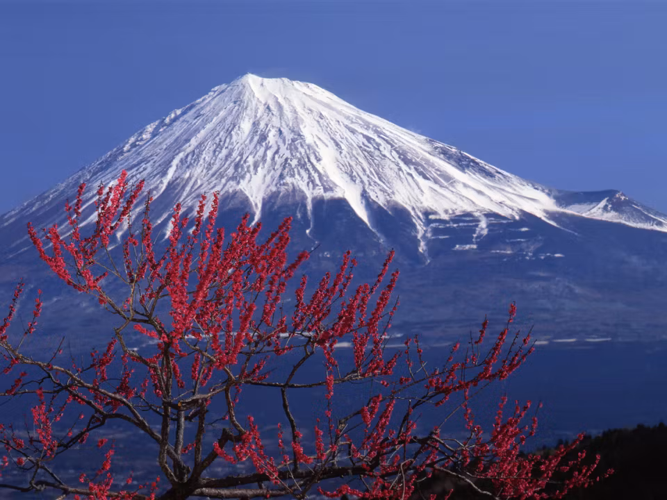 Flights to Shizuoka