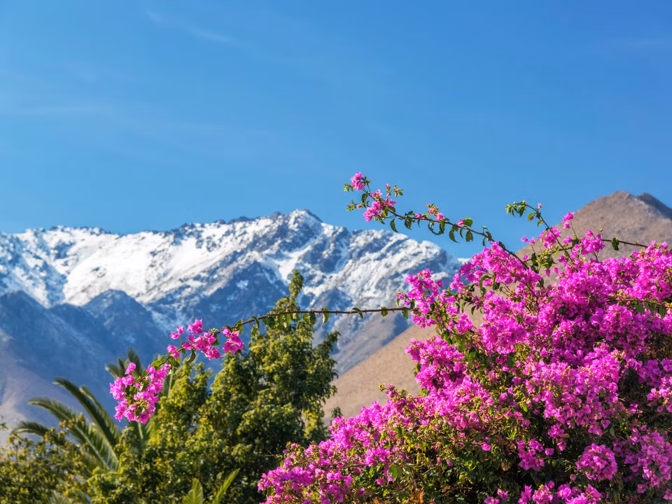 Flights to La Serena