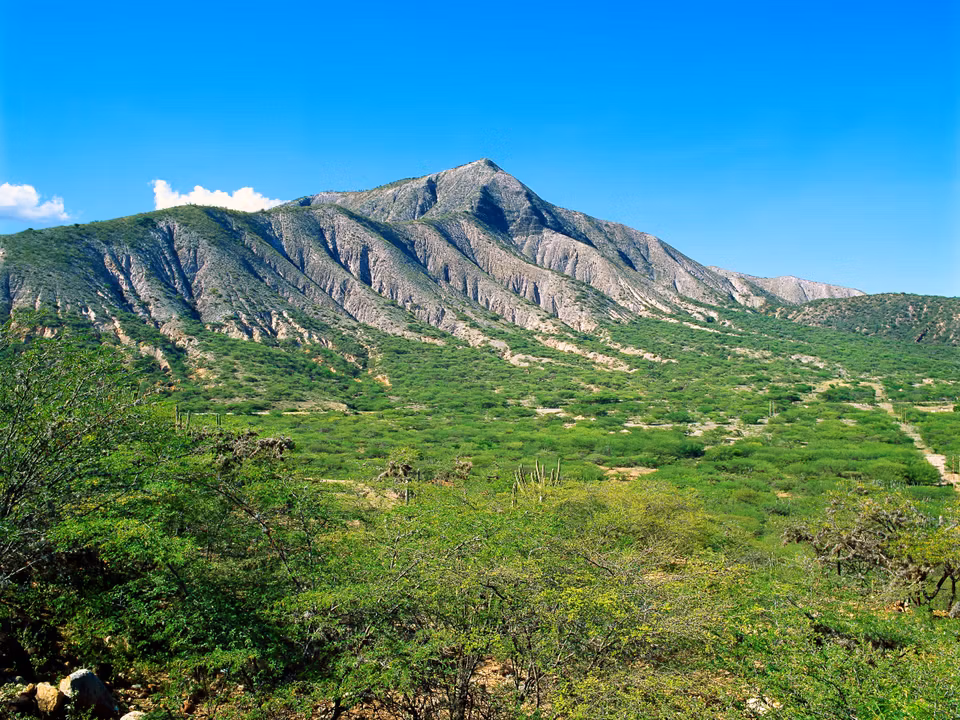 Flights to Maturin