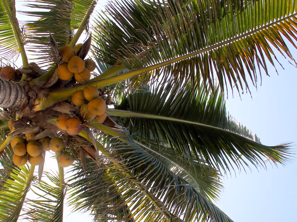 Flights to Puerto Barrios