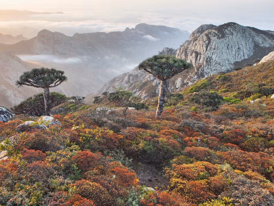 Flights to Socotra
