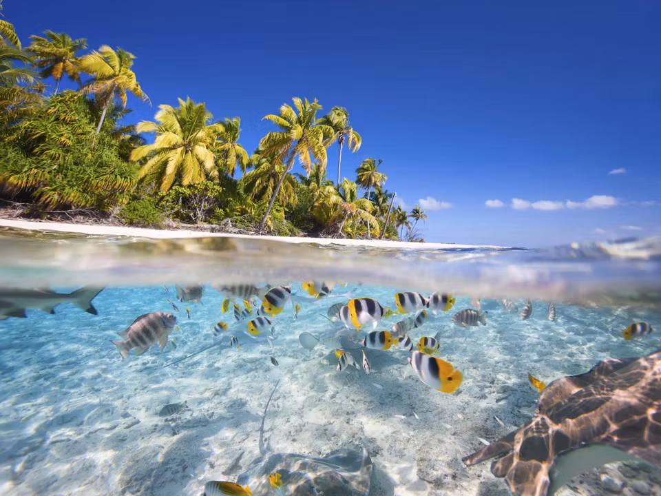 Flights to Tikehau Atoll